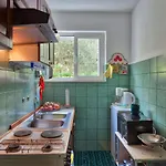 Matilija * פודגורה